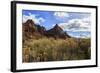 Desert Brush and the Watchman in Winter, Zion Canyon, Zion National Park, Utah, Usa-Eleanor Scriven-Framed Photographic Print