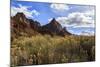 Desert Brush and the Watchman in Winter, Zion Canyon, Zion National Park, Utah, Usa-Eleanor Scriven-Mounted Photographic Print