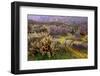 Desert Cactus and Wildflowers-John Gavrilis-Framed Photographic Print