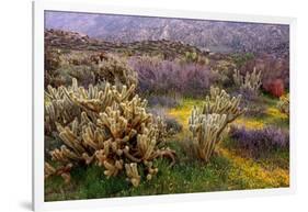 Desert Cactus and Wildflowers-John Gavrilis-Framed Photographic Print