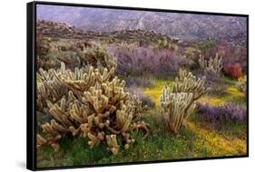 Desert Cactus and Wildflowers-John Gavrilis-Framed Stretched Canvas