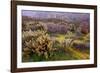 Desert Cactus and Wildflowers-John Gavrilis-Framed Photographic Print