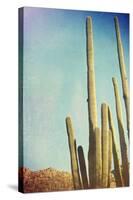 Desert Cactus With An Artistic Texture Overlay-pdb1-Stretched Canvas