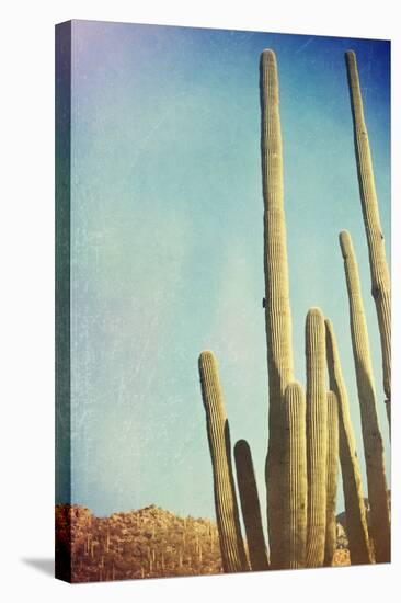 Desert Cactus With An Artistic Texture Overlay-pdb1-Stretched Canvas