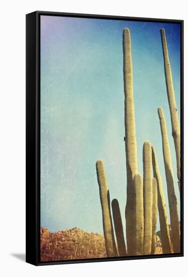 Desert Cactus With An Artistic Texture Overlay-pdb1-Framed Stretched Canvas