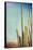 Desert Cactus With An Artistic Texture Overlay-pdb1-Framed Stretched Canvas