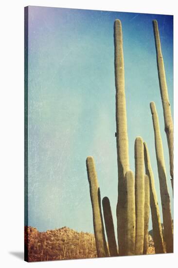 Desert Cactus With An Artistic Texture Overlay-pdb1-Stretched Canvas