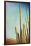 Desert Cactus With An Artistic Texture Overlay-pdb1-Framed Art Print
