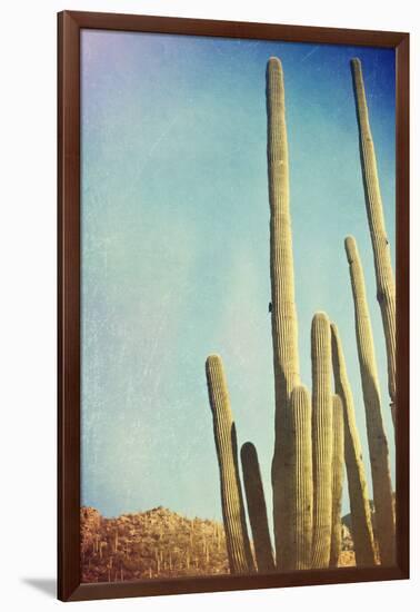 Desert Cactus With An Artistic Texture Overlay-pdb1-Framed Art Print