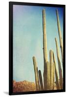 Desert Cactus With An Artistic Texture Overlay-pdb1-Framed Art Print