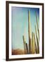 Desert Cactus With An Artistic Texture Overlay-pdb1-Framed Art Print