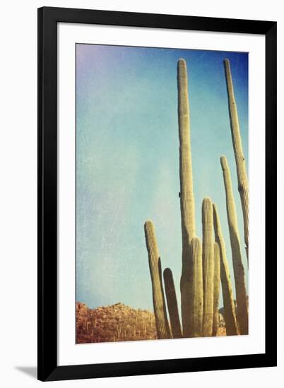 Desert Cactus With An Artistic Texture Overlay-pdb1-Framed Art Print