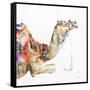 Desert Camel I-Aimee Del Valle-Framed Stretched Canvas