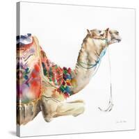 Desert Camel I-Aimee Del Valle-Stretched Canvas