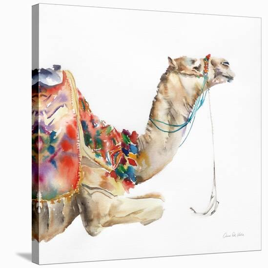 Desert Camel I-Aimee Del Valle-Stretched Canvas