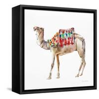 Desert Camel II-Aimee Del Valle-Framed Stretched Canvas