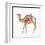 Desert Camel II-Aimee Del Valle-Framed Art Print