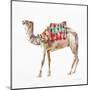 Desert Camel II-Aimee Del Valle-Mounted Art Print