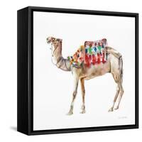 Desert Camel II-Aimee Del Valle-Framed Stretched Canvas