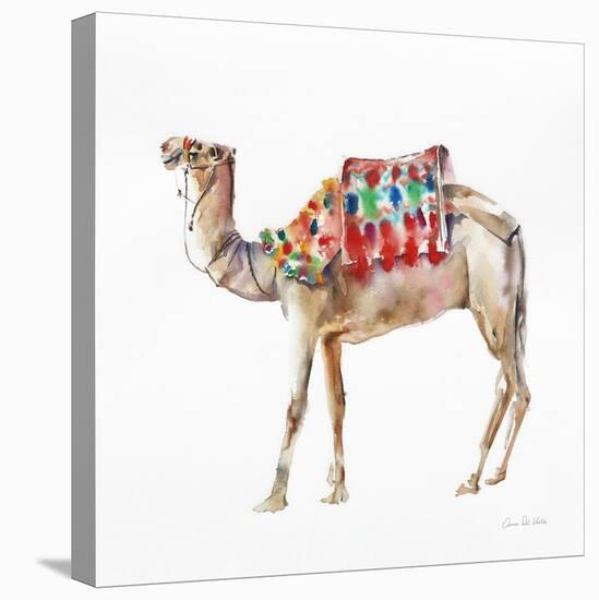 Desert Camel II-Aimee Del Valle-Stretched Canvas