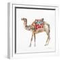 Desert Camel II-Aimee Del Valle-Framed Art Print