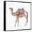 Desert Camel II-Aimee Del Valle-Framed Stretched Canvas