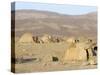 Desert Camp of Afar Nomads, Afar Triangle, Djibouti, Africa-Tony Waltham-Stretched Canvas