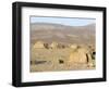 Desert Camp of Afar Nomads, Afar Triangle, Djibouti, Africa-Tony Waltham-Framed Photographic Print