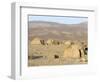 Desert Camp of Afar Nomads, Afar Triangle, Djibouti, Africa-Tony Waltham-Framed Photographic Print