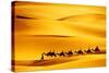 Desert Caravan-rechitansorin-Stretched Canvas