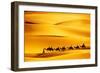 Desert Caravan-rechitansorin-Framed Photographic Print