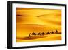 Desert Caravan-rechitansorin-Framed Photographic Print