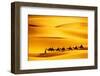 Desert Caravan-rechitansorin-Framed Photographic Print