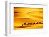 Desert Caravan-rechitansorin-Framed Photographic Print