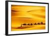 Desert Caravan-rechitansorin-Framed Photographic Print