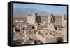 Desert Citadel, Rayen, Iran, Western Asia-Eitan Simanor-Framed Stretched Canvas