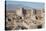 Desert Citadel, Rayen, Iran, Western Asia-Eitan Simanor-Stretched Canvas