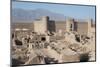 Desert Citadel, Rayen, Iran, Western Asia-Eitan Simanor-Mounted Photographic Print