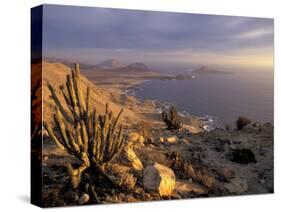 Desert Coast and Pacific Ocean, Atacama Desert, Pan de Azucar National Park,Chile-Andres Morya-Stretched Canvas