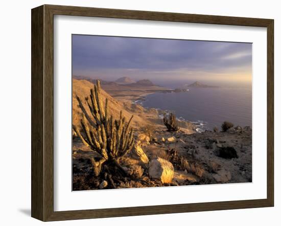 Desert Coast and Pacific Ocean, Atacama Desert, Pan de Azucar National Park,Chile-Andres Morya-Framed Premium Photographic Print