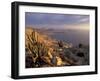Desert Coast and Pacific Ocean, Atacama Desert, Pan de Azucar National Park,Chile-Andres Morya-Framed Premium Photographic Print
