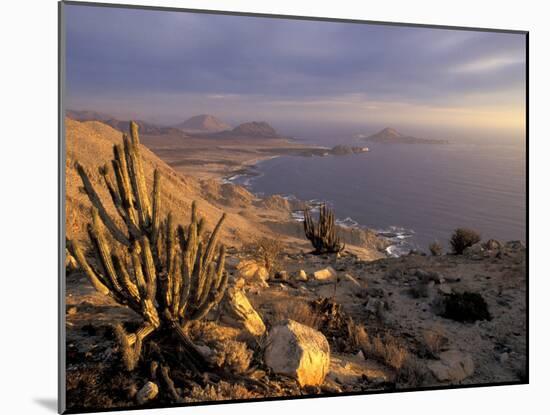 Desert Coast and Pacific Ocean, Atacama Desert, Pan de Azucar National Park,Chile-Andres Morya-Mounted Premium Photographic Print