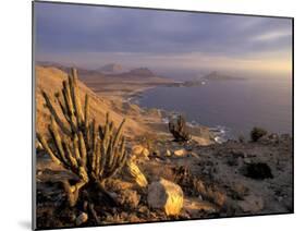 Desert Coast and Pacific Ocean, Atacama Desert, Pan de Azucar National Park,Chile-Andres Morya-Mounted Premium Photographic Print