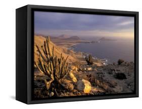 Desert Coast and Pacific Ocean, Atacama Desert, Pan de Azucar National Park,Chile-Andres Morya-Framed Stretched Canvas