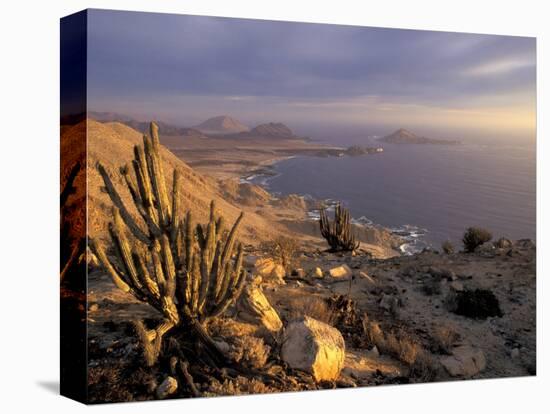Desert Coast and Pacific Ocean, Atacama Desert, Pan de Azucar National Park,Chile-Andres Morya-Stretched Canvas