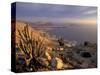 Desert Coast and Pacific Ocean, Atacama Desert, Pan de Azucar National Park,Chile-Andres Morya-Stretched Canvas