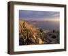 Desert Coast and Pacific Ocean, Atacama Desert, Pan de Azucar National Park,Chile-Andres Morya-Framed Photographic Print