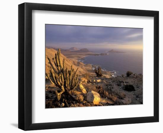 Desert Coast and Pacific Ocean, Atacama Desert, Pan de Azucar National Park,Chile-Andres Morya-Framed Photographic Print