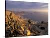 Desert Coast and Pacific Ocean, Atacama Desert, Pan de Azucar National Park,Chile-Andres Morya-Stretched Canvas