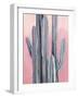 Desert Dawn I-Grace Popp-Framed Art Print